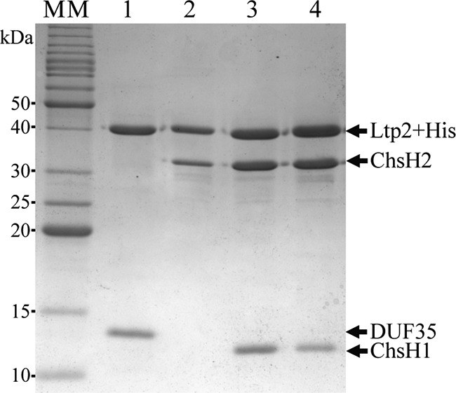 FIG 2