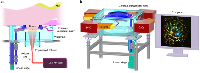 Fig. 1