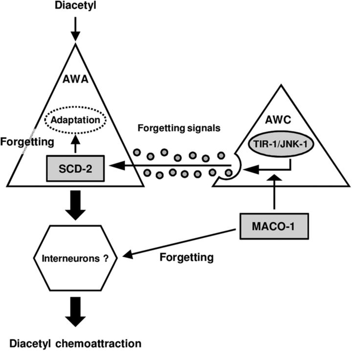 Figure 7.