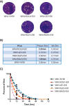 FIG 3