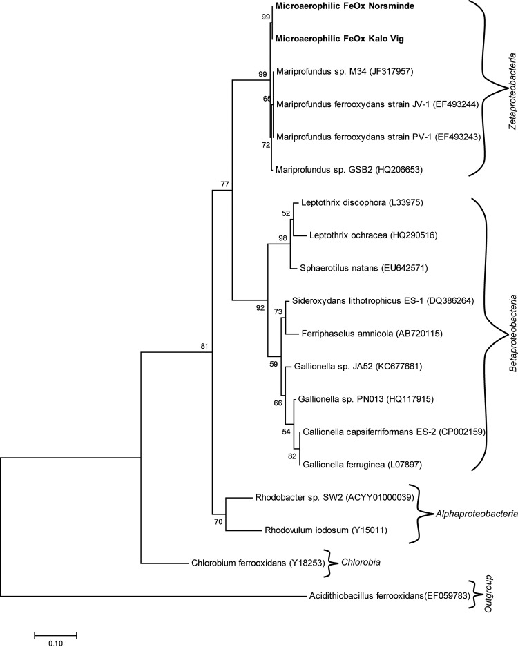 FIG 3