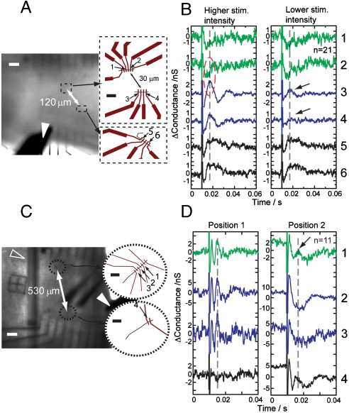 Fig. 4.