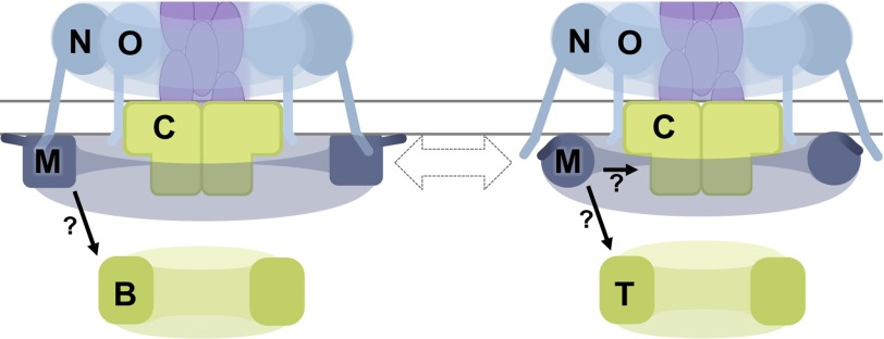 FIGURE 7.