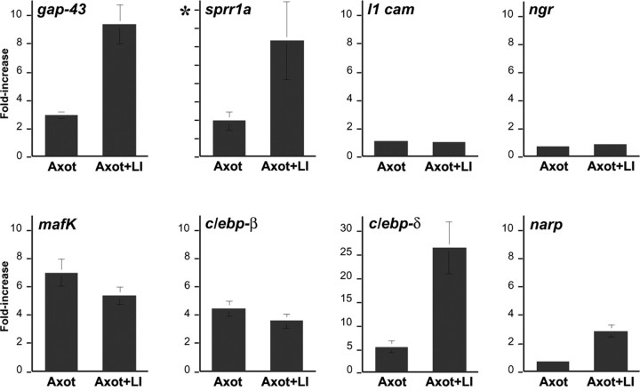  Figure 5. 