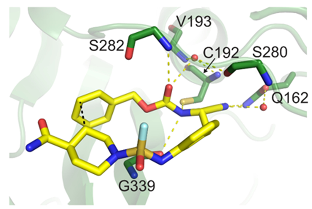 Figure 3.