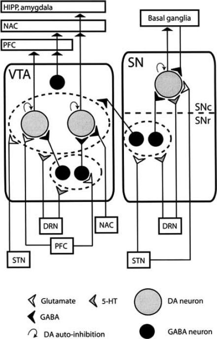 Fig. (1)