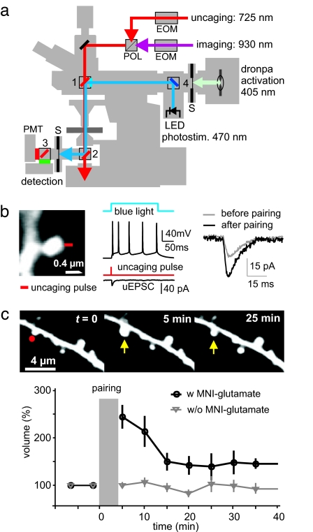 Fig. 2.