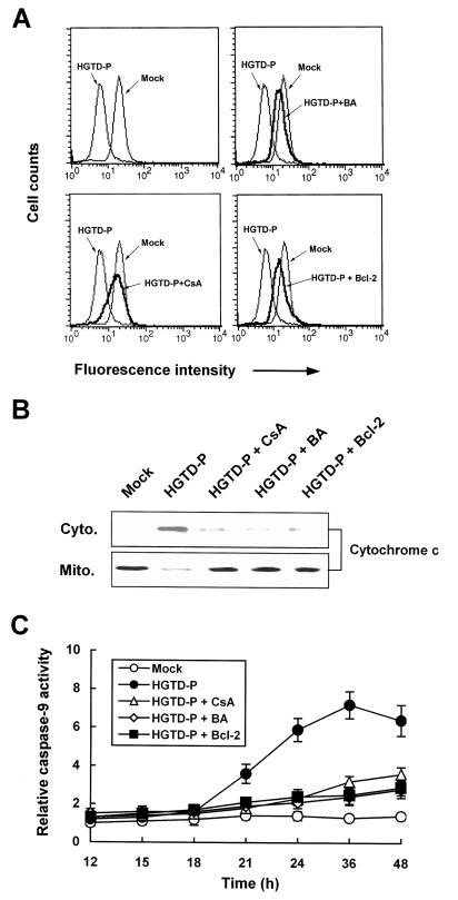 FIG. 6.