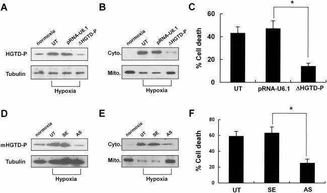 FIG. 8.