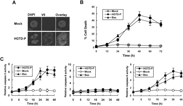 FIG. 4.