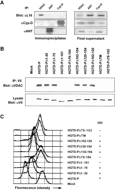 FIG. 7.