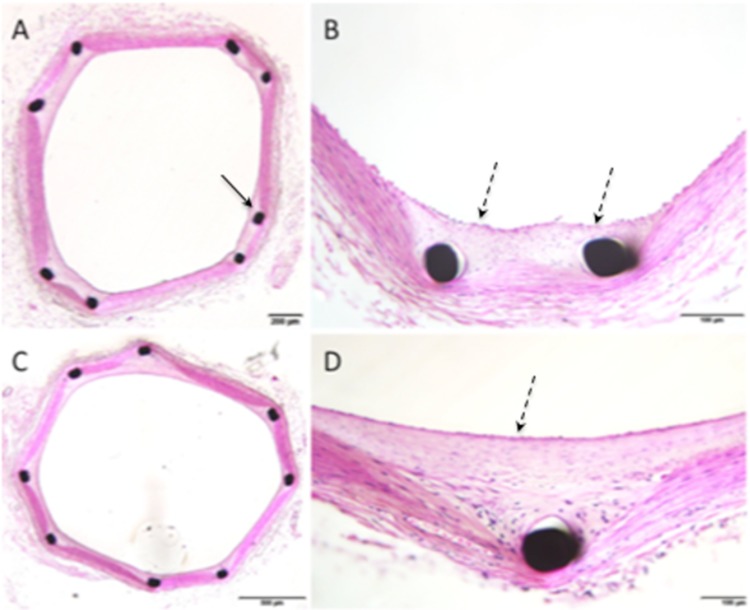 Fig. 3