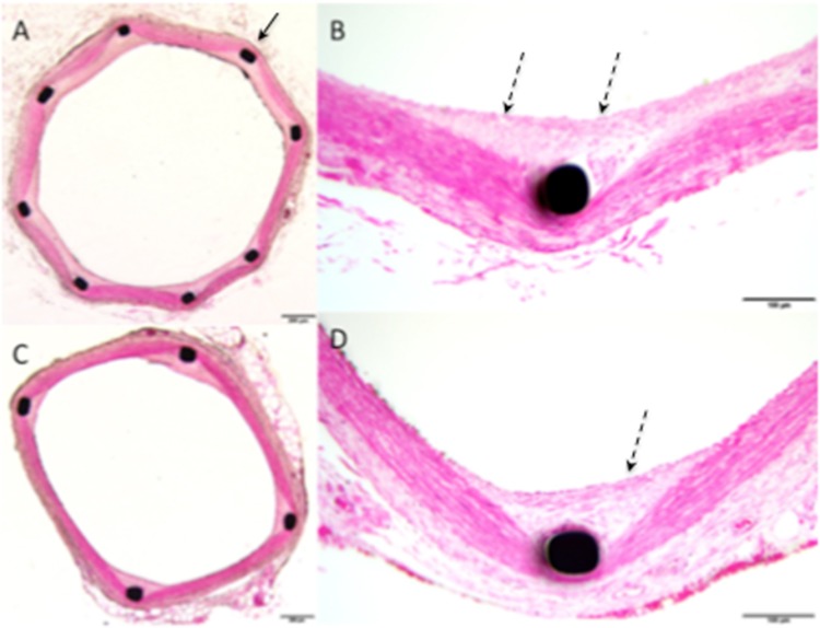 Fig. 2