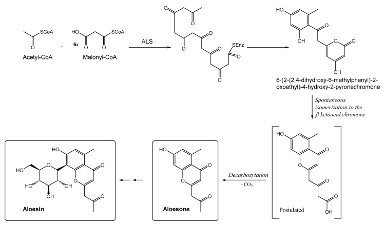 Scheme 2