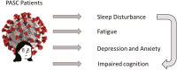 Graphical Abstract