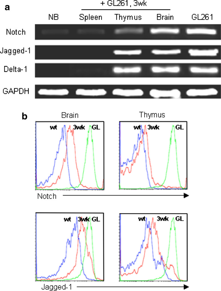 Fig. 6