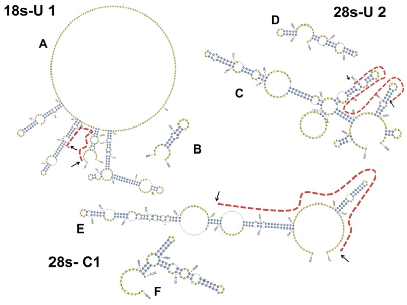 Figure 8