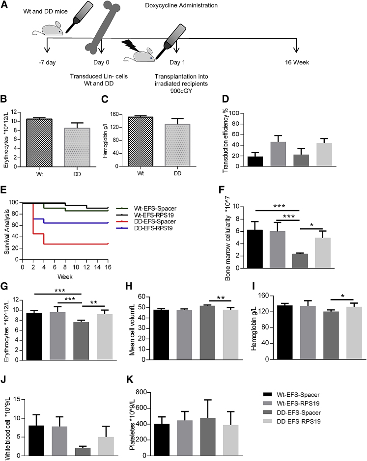 Figure 6