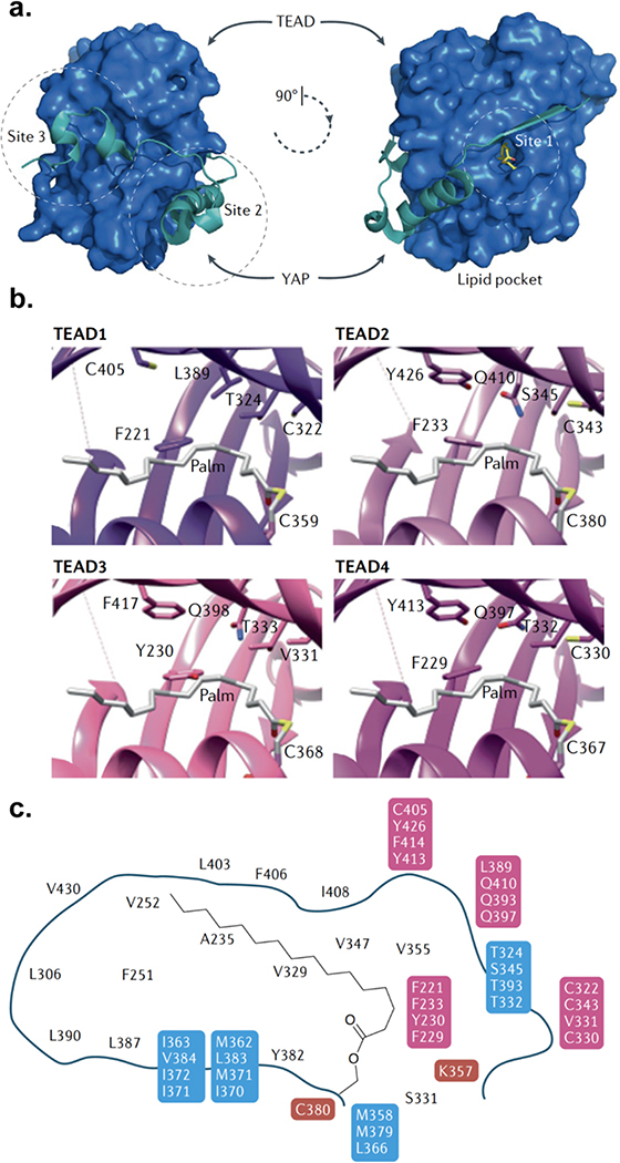 Fig. 3.