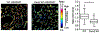 Fig. 11.