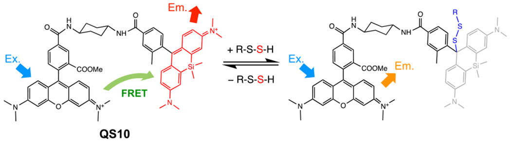 Fig. 10.