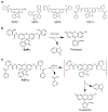 Fig. 8.