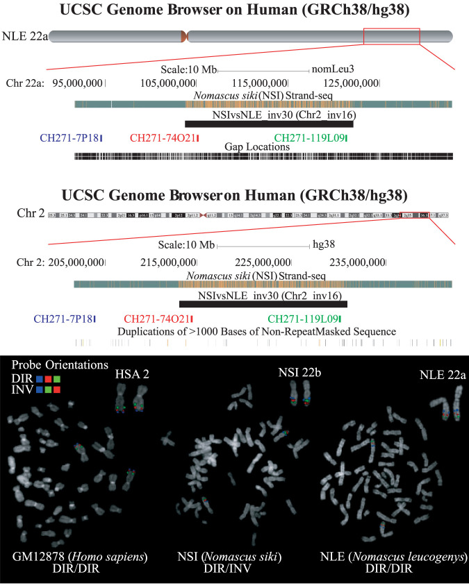 Figure 5.