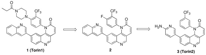 Scheme 1