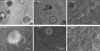 FIG. 8.