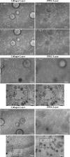 FIG. 10.