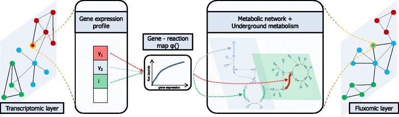 Fig. 1