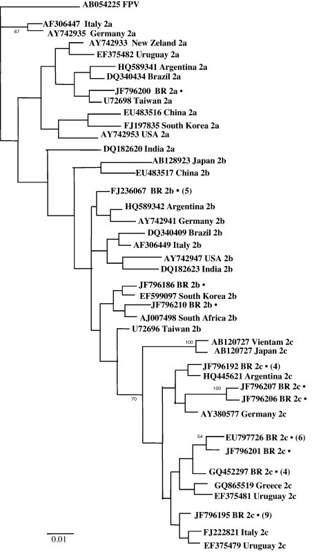 Fig. 1