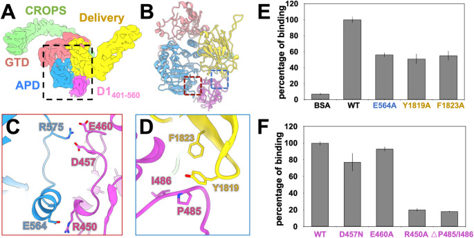 Fig 2