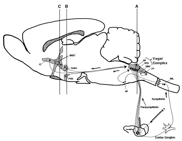 FIG. 1