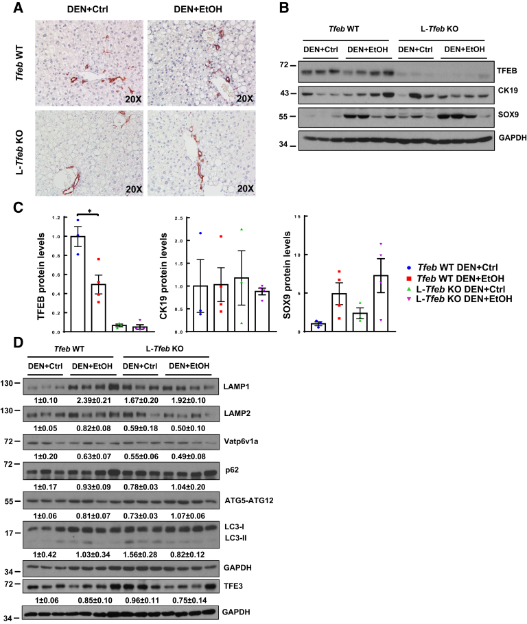 Figure 6