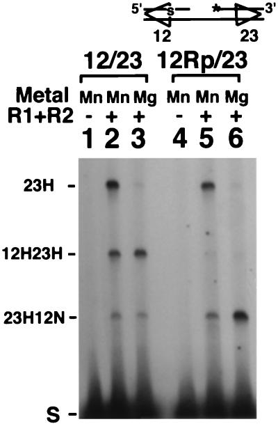 FIG. 7