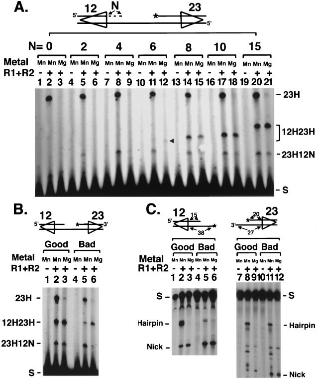 FIG. 5