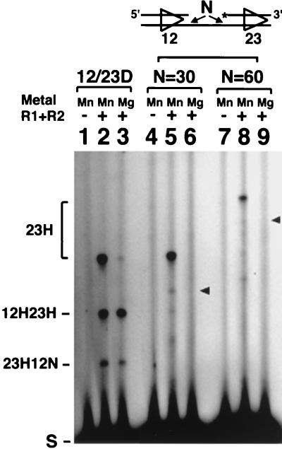 FIG. 6