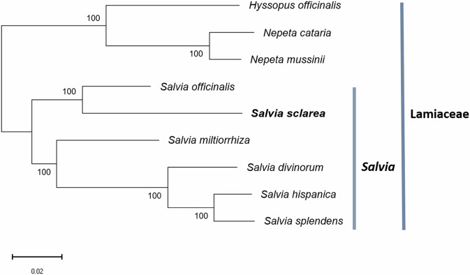 Fig. 5