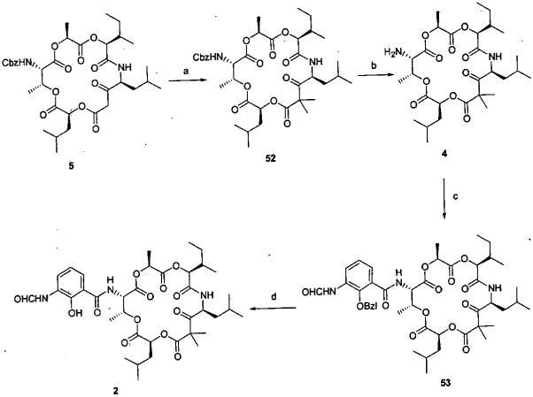 Scheme 8