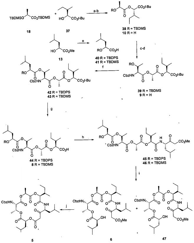 Scheme 6