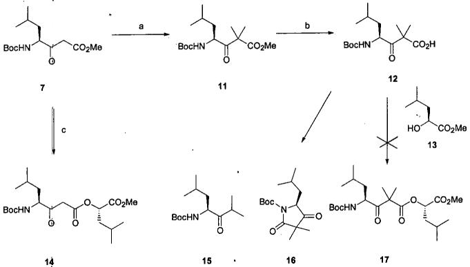 Scheme 2