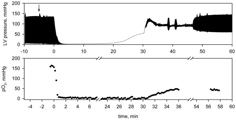 Fig. 5