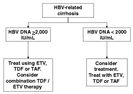 Figure 7: