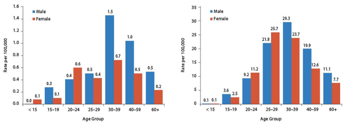 Figure 1: