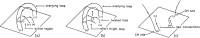Fig. 41