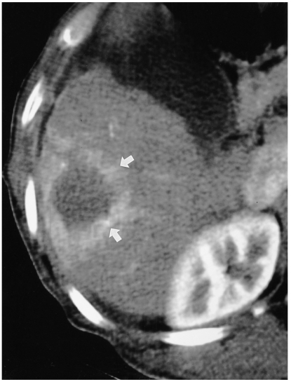 Fig. 8