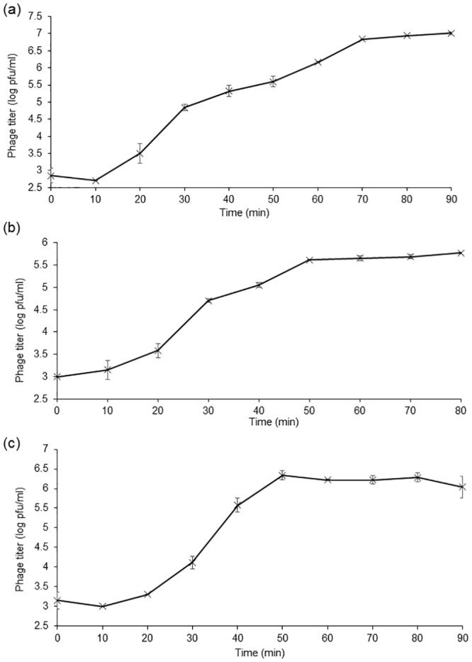 Fig 2