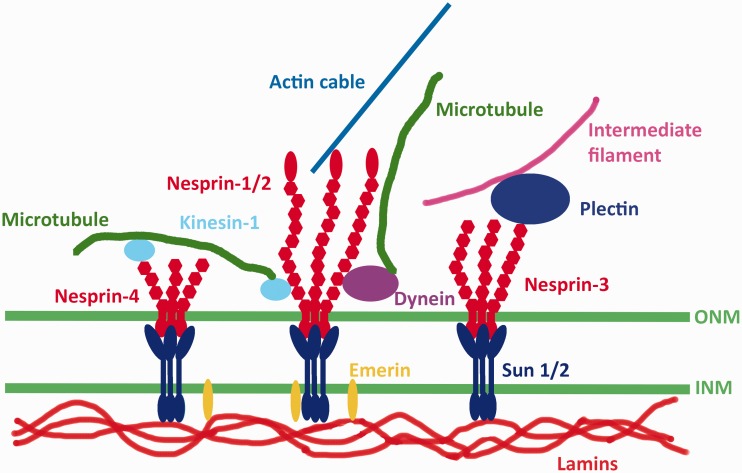 Figure 2.