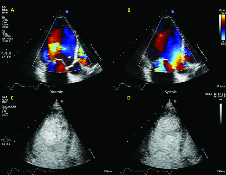 Fig. 8